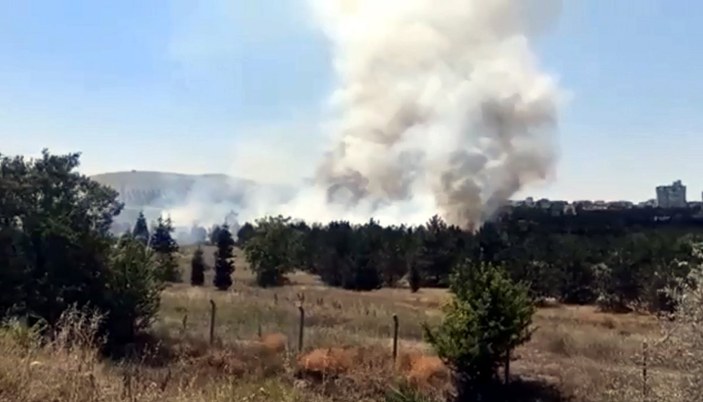 Ankara'da Atatürk Orman Çiftliği arazisinde yangın