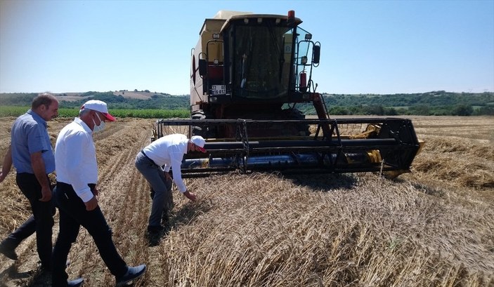 Edirne'de buğday hasadı bitti