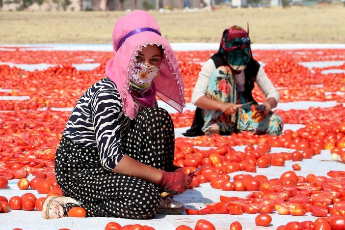 Karacadağ'da kurutulan domateslerden renkli kareler