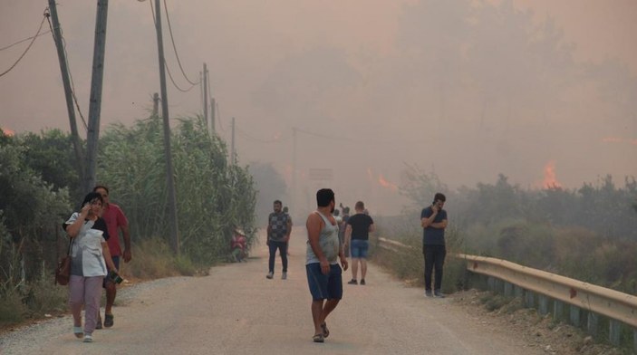 Antalya Manavgat'ta sera ve ağaçları yanan kadın gözyaşına boğuldu