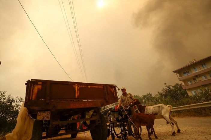 Manavgat'ta yangından etkilenenlerin sayısı belli oldu