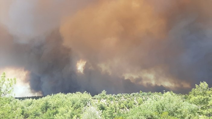 Manavgat'ta orman yangını çıktı
