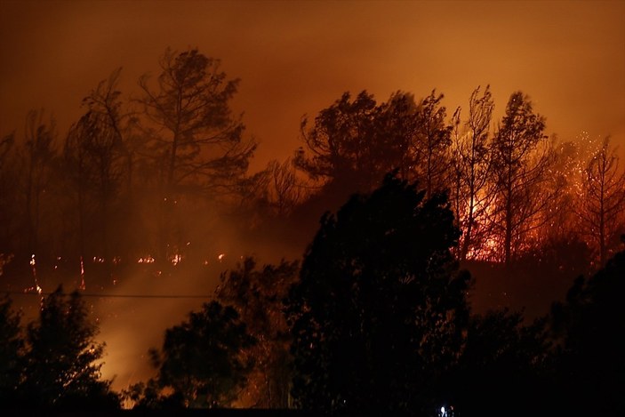 Türkiye'nin ormanları yanıyor