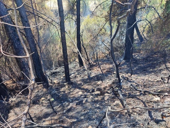 Hatay'da ormanlık alana yakın bölgede çıkan yangın kontrol altında
