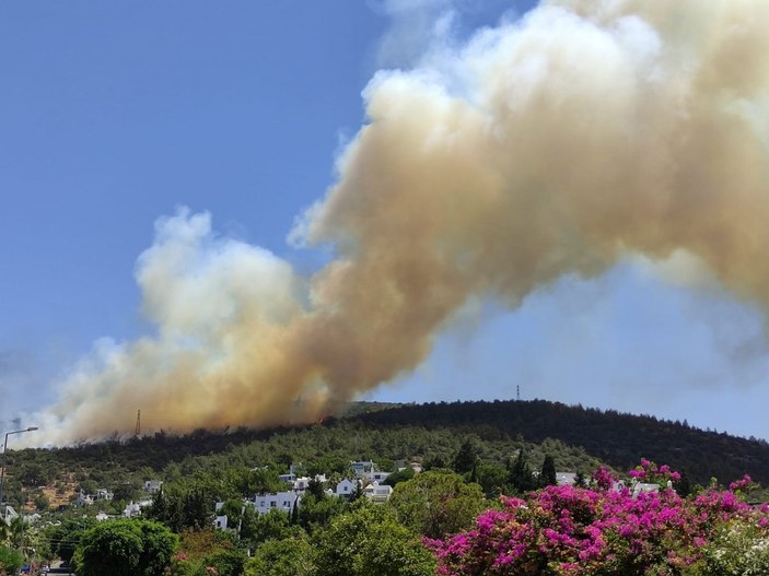 Bodrum'da makilik ve ormanlık alanda yangın