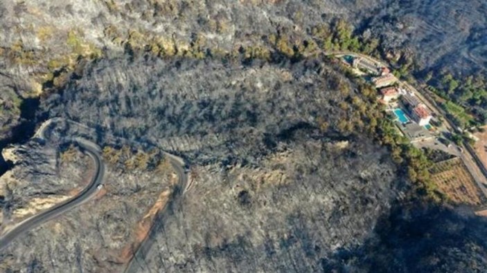 Muğla'da 40 bin hektarlık alan yangından zarar gördü