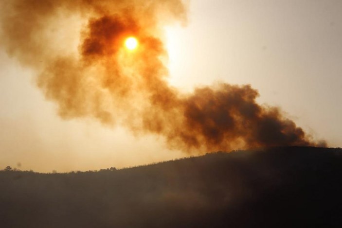 Muğla'da 40 bin hektarlık alan yangından zarar gördü