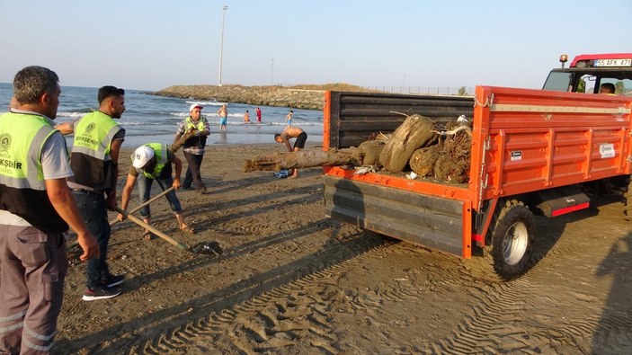 Sinop'taki tomruklar Samsun sahillerinde: 200 km sürüklendiler