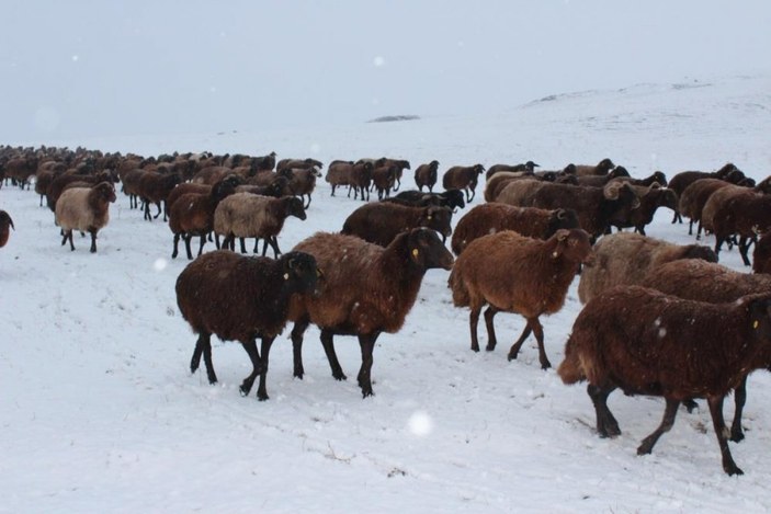 Erzincan'da kar yağışına yakalanan çobanın mutluluğu