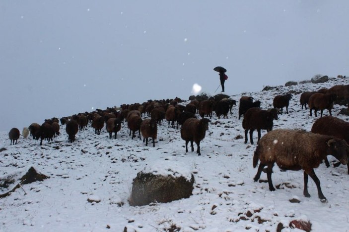 Erzincan'da kar yağışına yakalanan çobanın mutluluğu