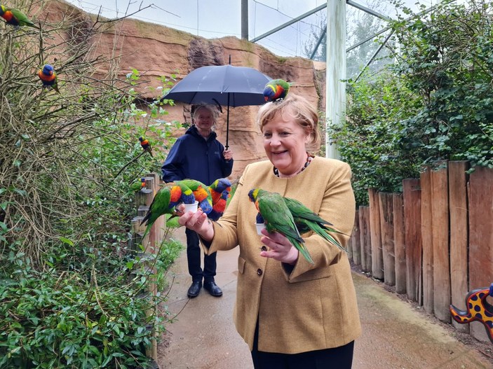 Görevi bırakmaya hazırlanan Angela Merkel, kuş parkını ziyaret etti