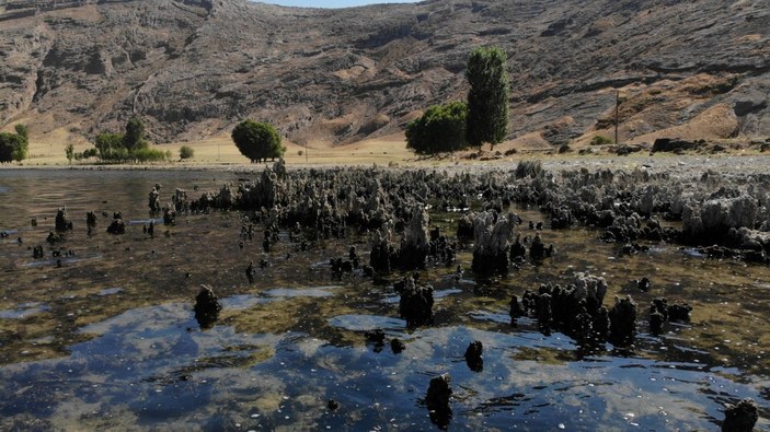 Van Gölü’nün suyu çekildi, binlerce yıllık mikrobiyalitler gün yüzüne çıktı