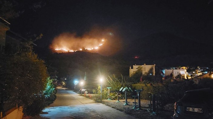 Bodrum'da otluk ve makilik alanda yangın çıktı
