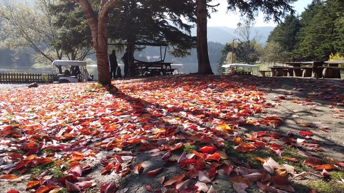 Gölcük Tabiat Parkı'ndan sonbahar manzaraları