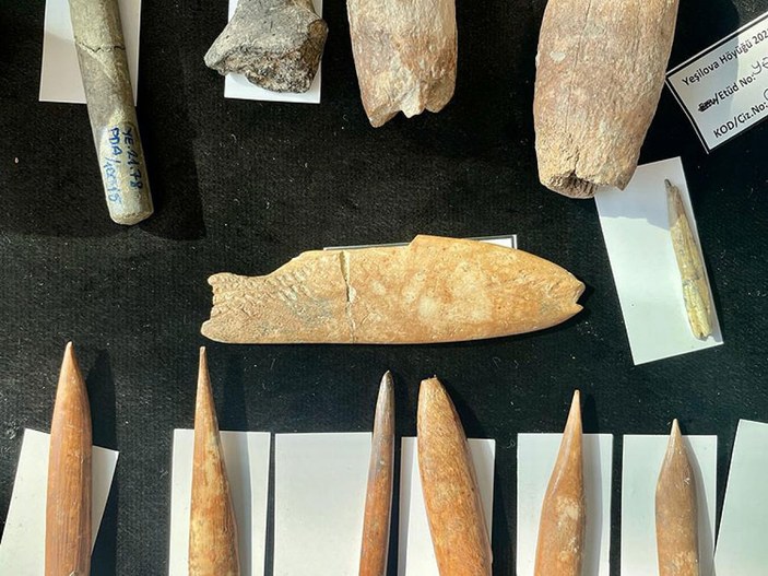 İzmir'de 8 bin yıl öncesine ait aslan ve panter kemikleri görüldü