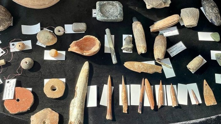 İzmir'de 8 bin yıl öncesine ait aslan ve panter kemikleri görüldü