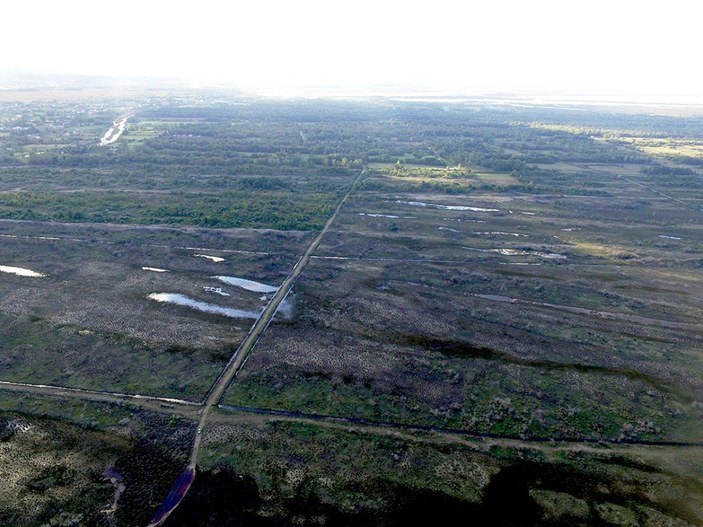 Kızılırmak Deltası, yangından bir yıl sonra yeniden yeşerdi