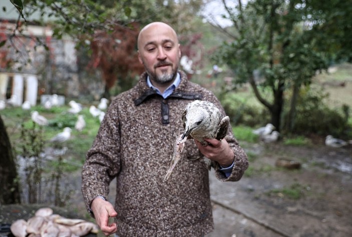 Sokaktan kurtardığı onlarca hayvan için İstanbul'dan köye taşındı
