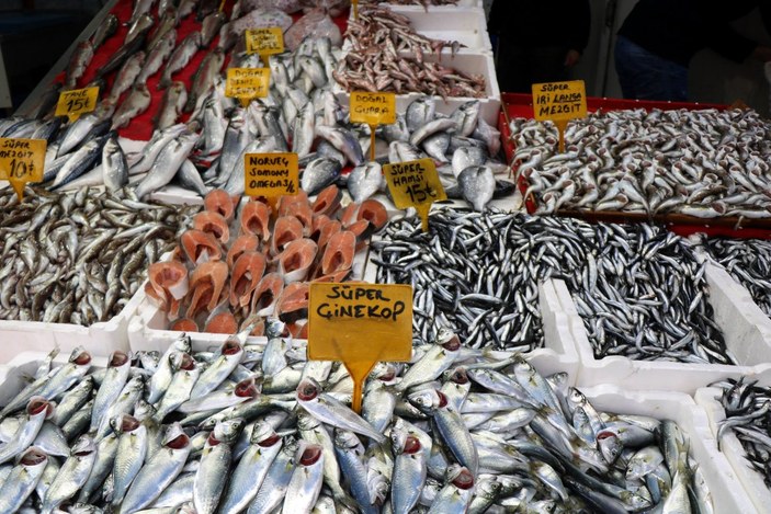 Karadeniz’in en ucuz balığı 7 TL, en pahalısı 150 TL