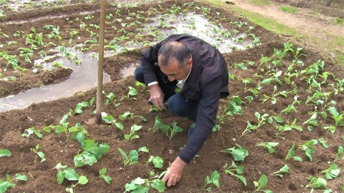 İstanbul'un göbeğinde 6 dönümlük organik tarım alanı havadan görüntülendi