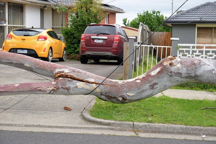 Avustralya’da şiddetli rüzgar evleri elektriksiz bıraktı