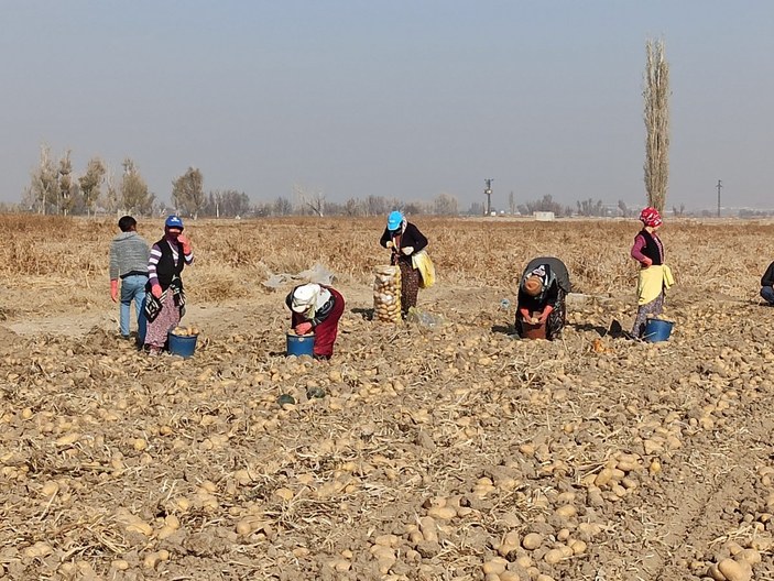 Afyonkarahisar'da tarım işçileri sezonu kapattı