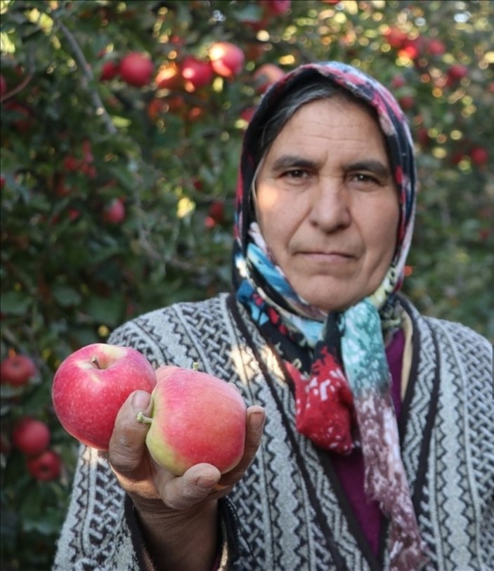 Karaman'da elma ihracatı
