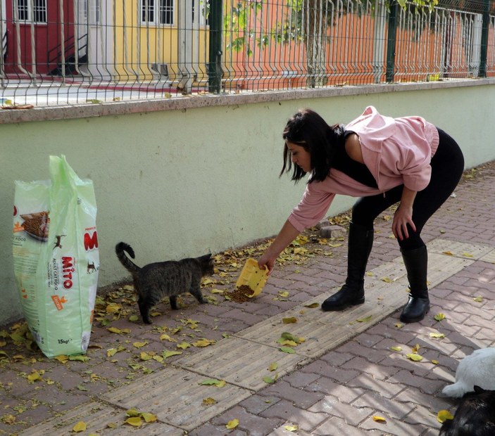 Gaziantep’te, kedileri çuvala koyup götürürken yakalandı