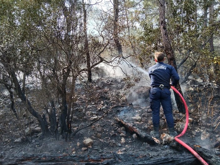 Antalya'da, ormanda çıkan yangın söndürüldü