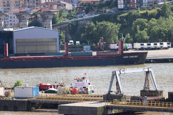 Ukrayna'dan gelen ilk Türk gemisi Zonguldak'ta