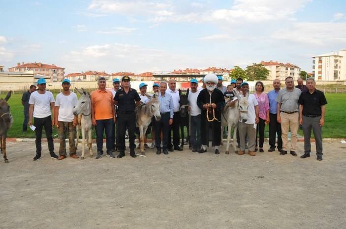 Konya'da eşekler birincilik için yarıştı
