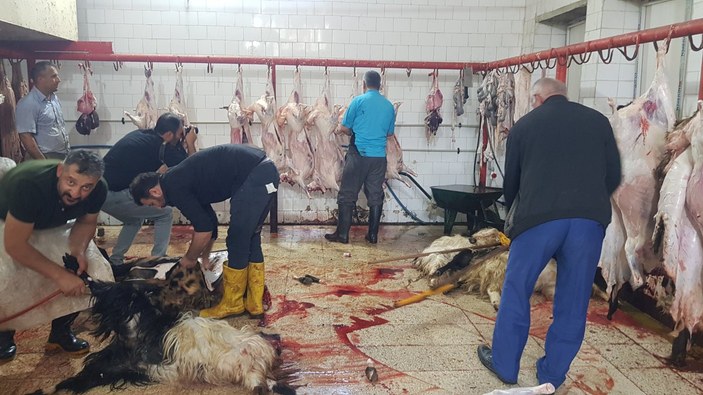 Hakkari'de 3 bin aileye kurban eti dağıtımı gerçekleştirildi