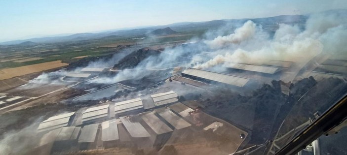 İzmir Bergama'daki orman yangını konrol altında