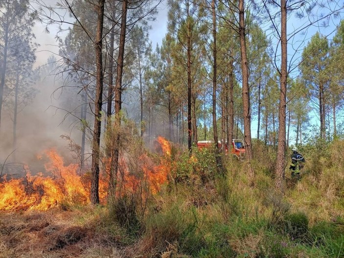 Fransa’da orman yangınları yaklaşık 4 bin hektarı kül etti