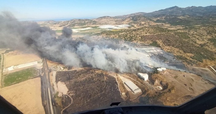 İzmir Bergama'daki orman yangını konrol altında