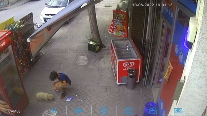Eskişehir’de bir çocuk köpek çaldı