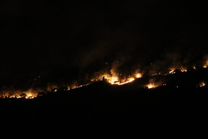 Bulgaristan'daki orman yangını devam ediyor
