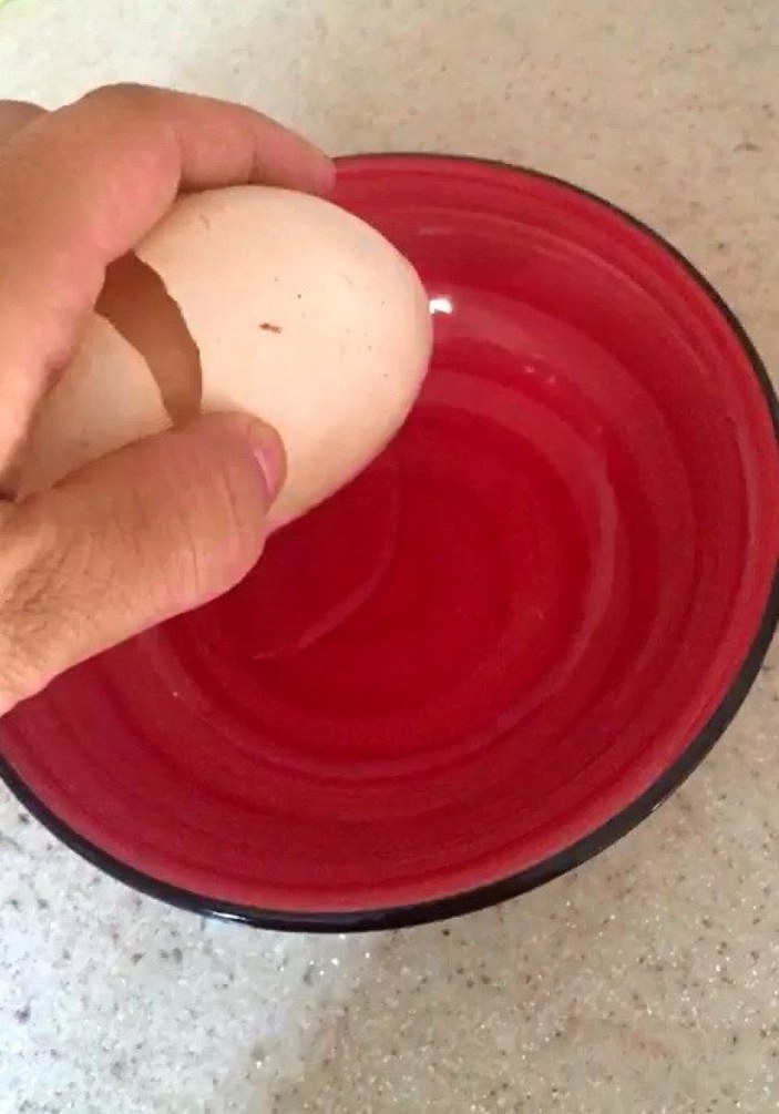 Adıyaman’da, yumurtanın içinden kabuklu yumurta çıktı