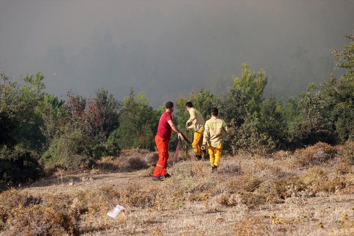 Soma'daki orman yangınında 60 hektarlık alan zarar gördü