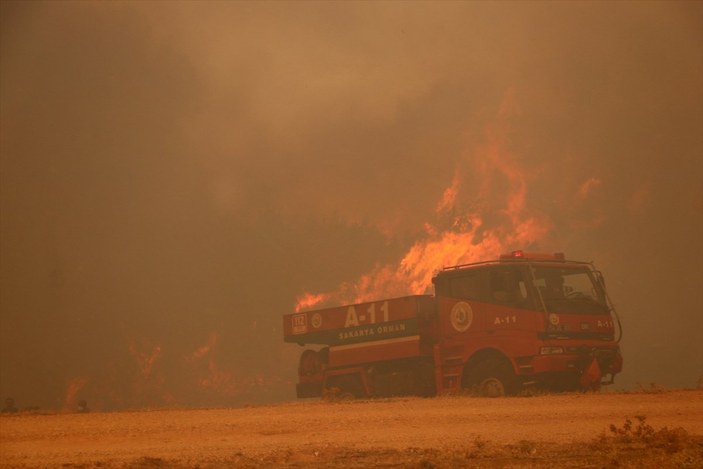 Soma'daki orman yangınında 60 hektarlık alan zarar gördü