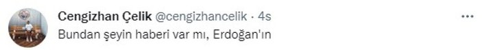 Financial Times: Gaye Su Akyol, Erdoğan'ın kabusu