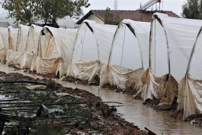 Antalya’da yağmur, çilek tarlalarını vurdu