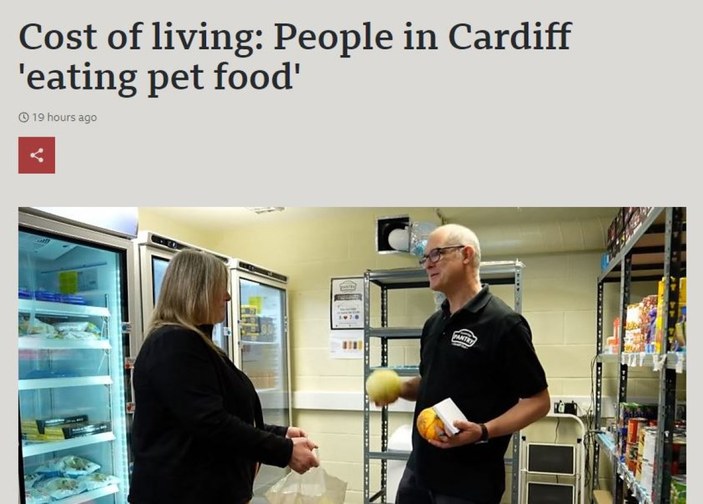 Galler'de hayat pahalılığı: İnsanlar, evcil hayvan maması yiyor