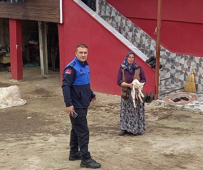 Samsun'da zabıta kuzunun sahibini anonsla buldu