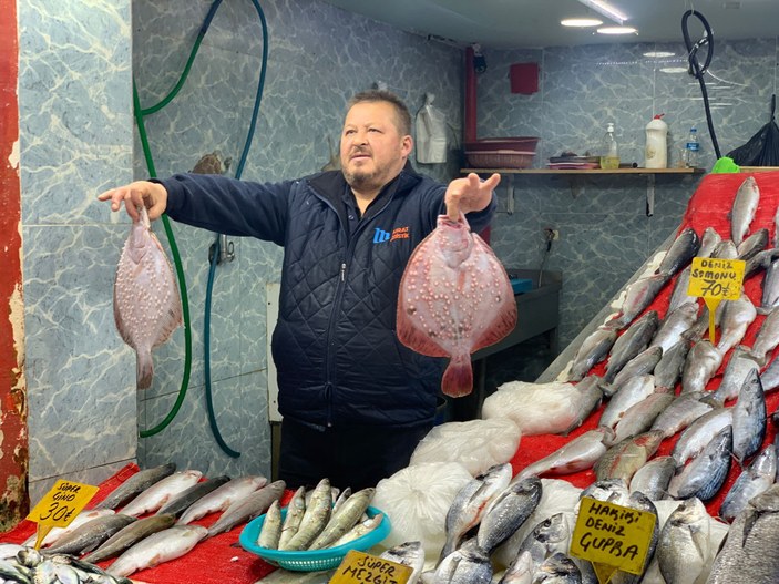 Karadeniz soğudu, tezgahta balık bollaştı #5