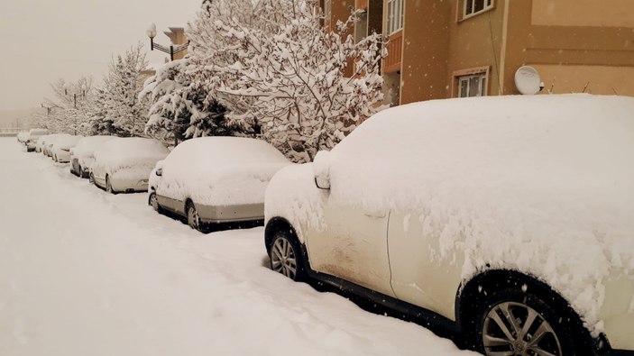 Van'da yağan kar yolları kapattı