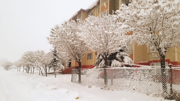 Van'da yağan kar yolları kapattı