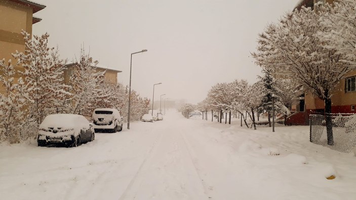 Van'da yağan kar yolları kapattı