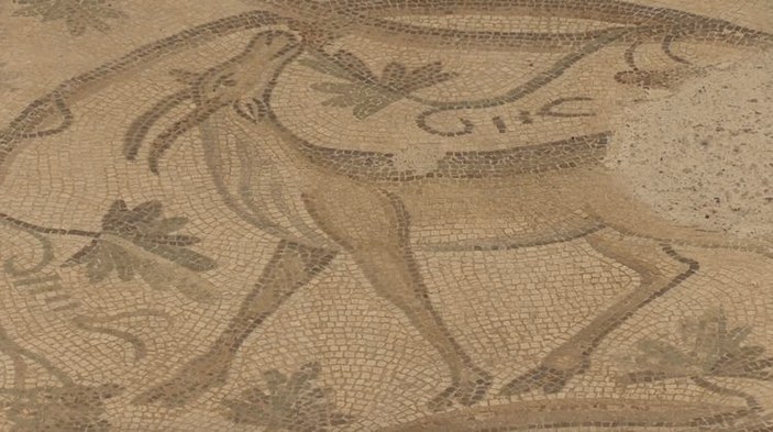 adiyamanda bulunan mozaikler kent tarihine isik tutuyor 9016e247