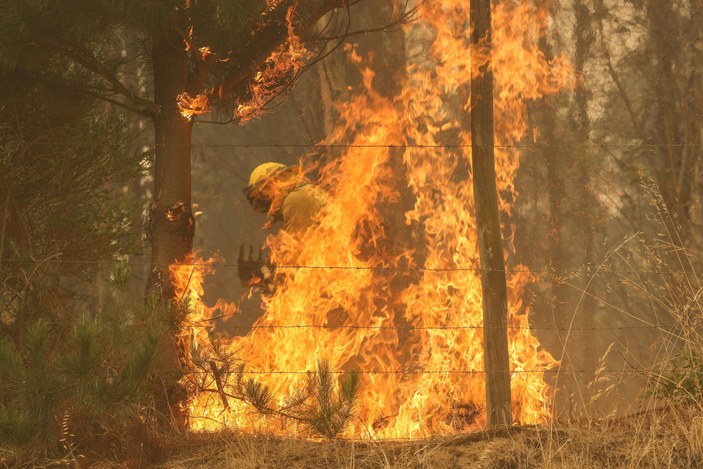 Şili’de orman yangını: 23 ölü, 979 yaralı #1